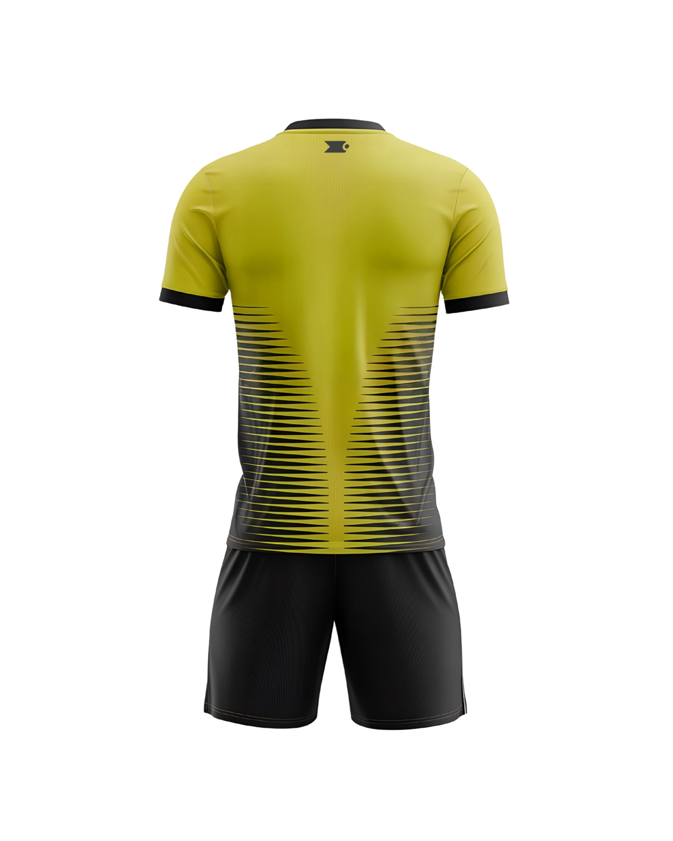 Profount Toned Symmetry Kit